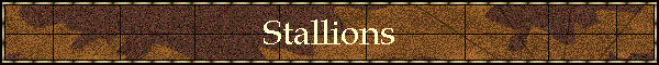 Stallions