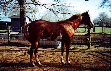 Zipper.jpg (32423 bytes)