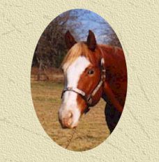 ZipperHead.jpg (13153 bytes)