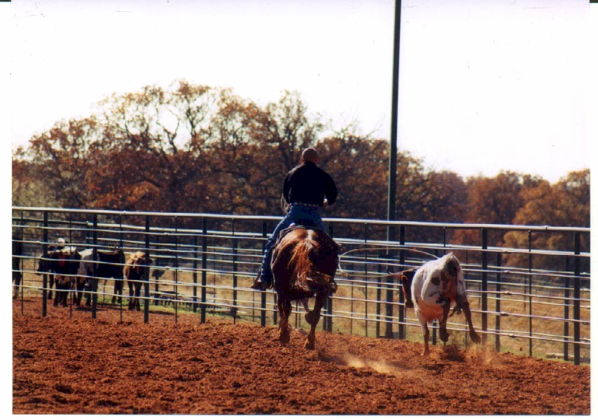 jasonrope.JPG (137885 bytes)