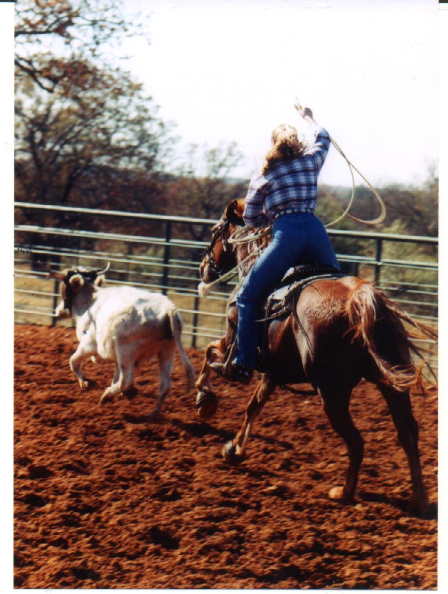 tinarope.jpg (115900 bytes)